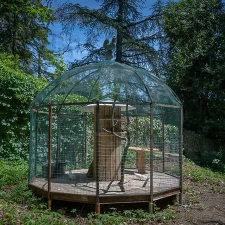 Le Clos D'abrigeon * オーブナ